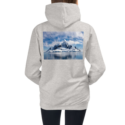 Kids HoodiePremium Hoodie - BACK Print: Antarctic Wind