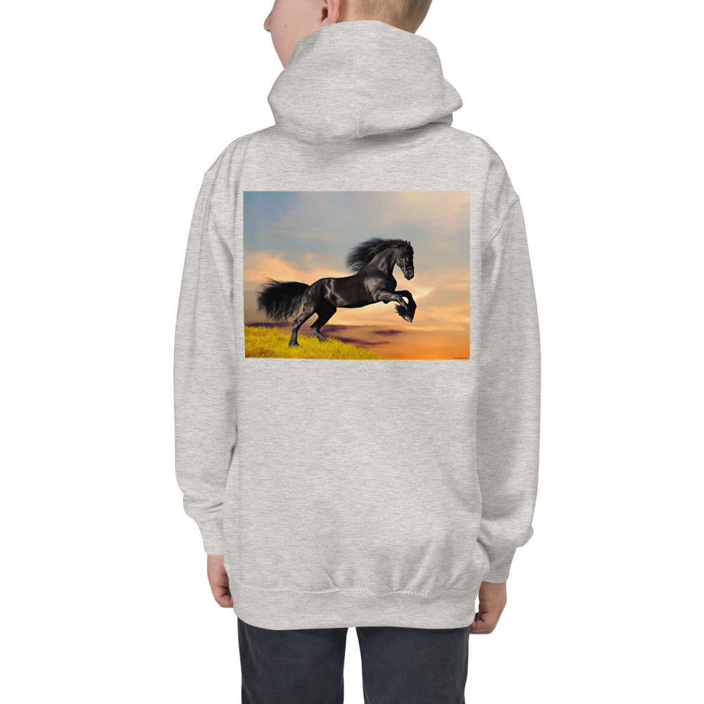 Premium Hoodie - BACK Print: Black Friesian Lift Off