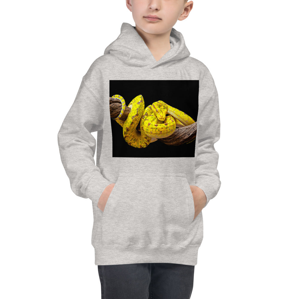 Premium Hoodie - FRONT Print: Yellow Green Tree Python