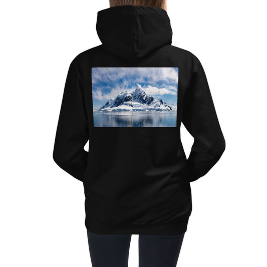Kids HoodiePremium Hoodie - BACK Print: Antarctic Wind