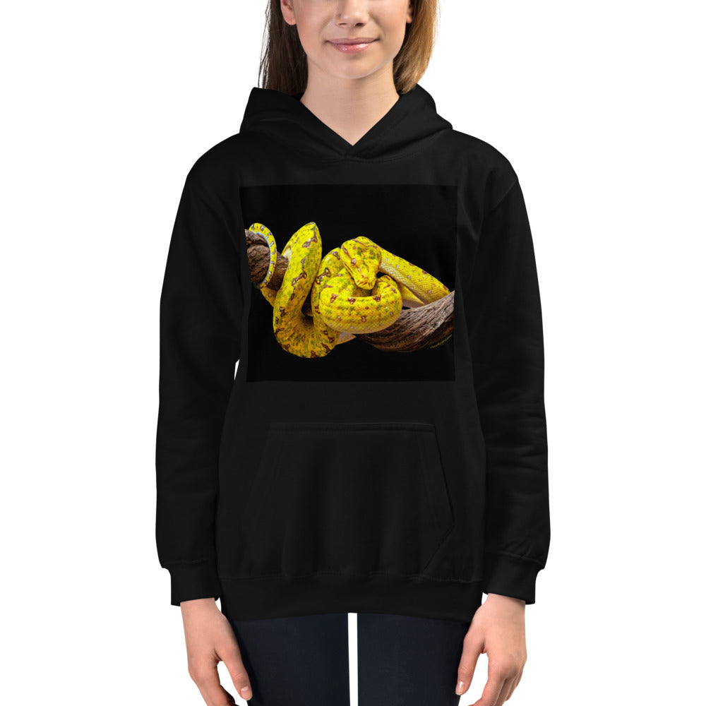 Premium Hoodie - FRONT Print: Yellow Green Tree Python