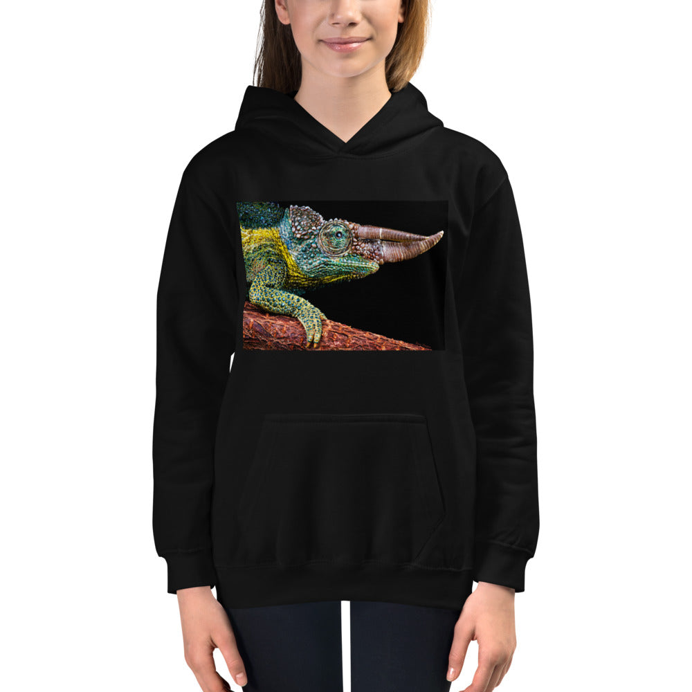 Premium Hoodie - FRONT Print: Jackson's