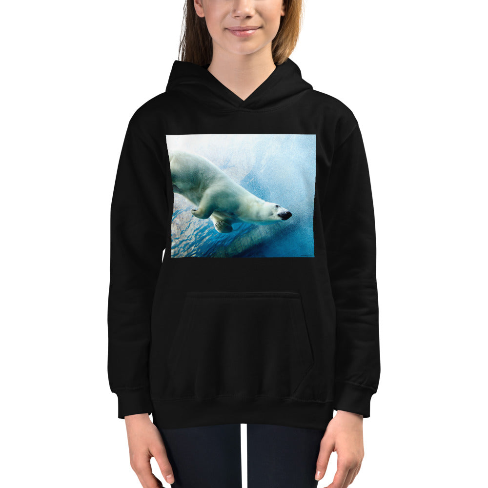 Premium Hoodie - FRONT Print: Polar Dip