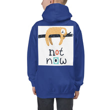 Load image into Gallery viewer, Premium Youth Hoodie: Print on the BACK - Not Now!
