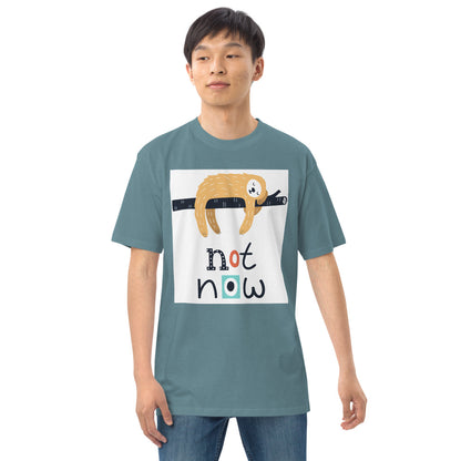 Men’s premium heavyweight TEST