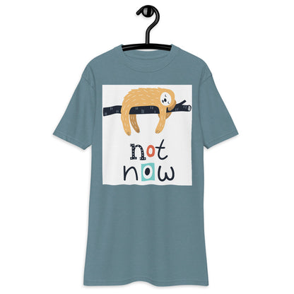 Men’s premium heavyweight TEST