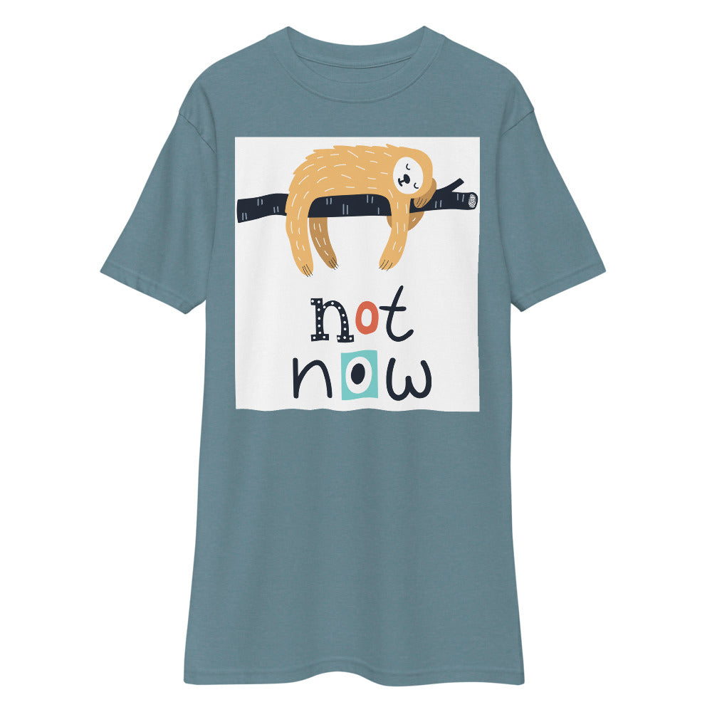 Premium Heavyweight Tee - Not Now!