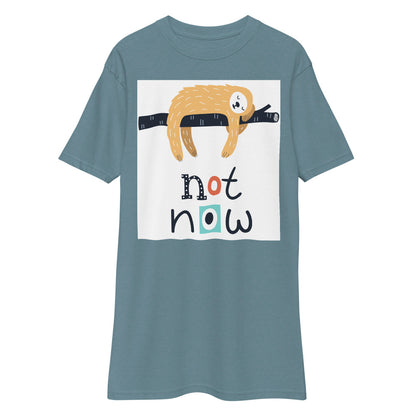 Premium Heavyweight Tee - Not Now!