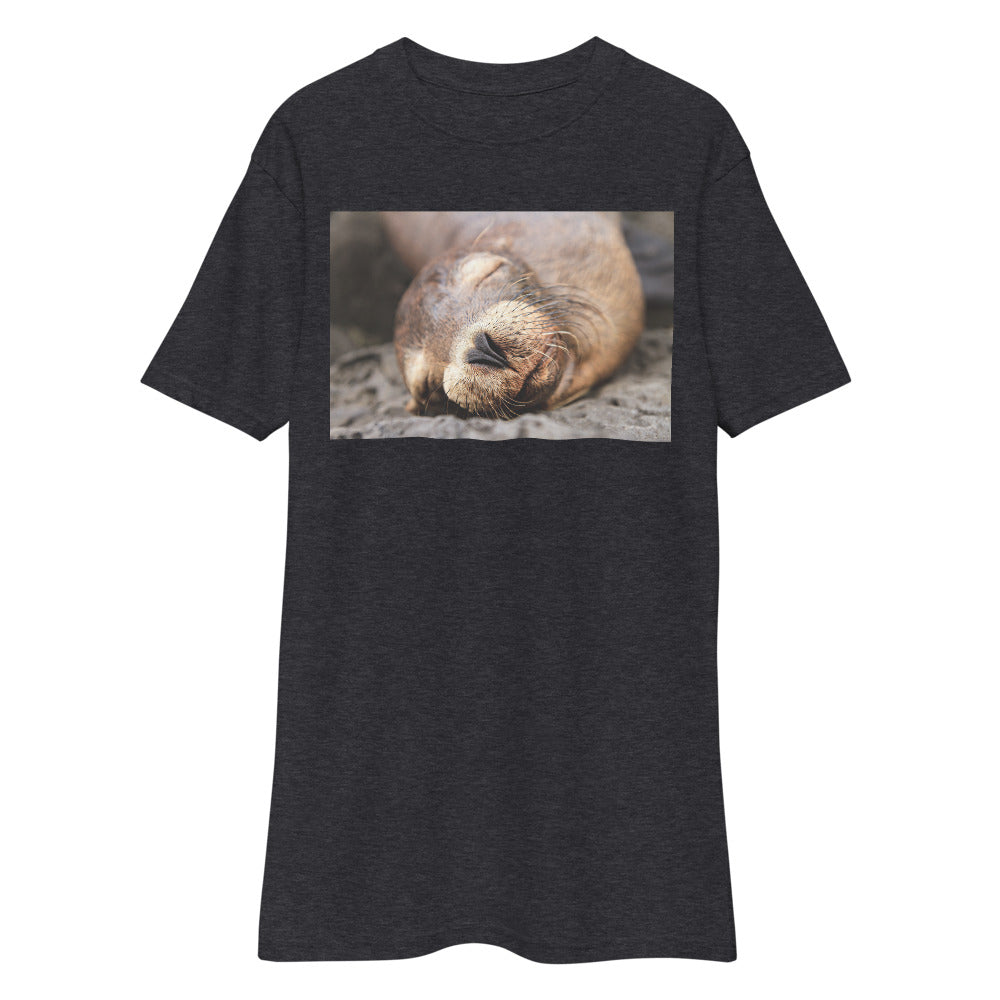 Premium Heavyweight Tee - Snoring Sound