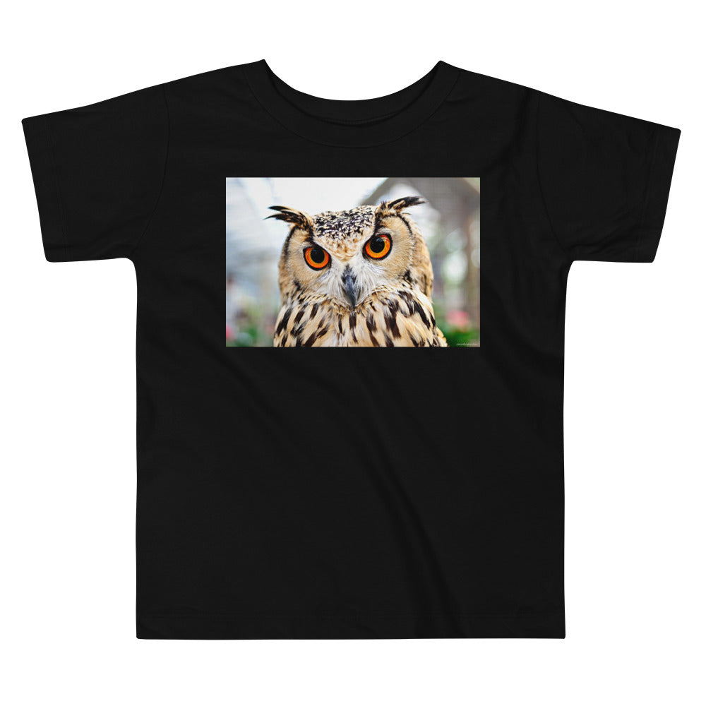 Premium Soft Toddler Tee - Orange Eyed Owl