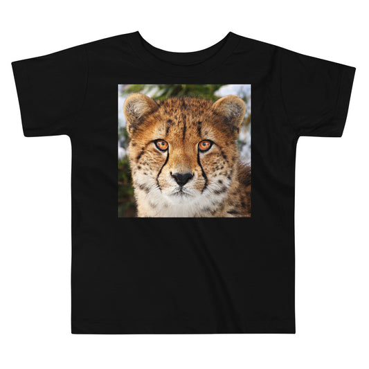 Premium Soft Toddler Tee - Cheetah Stare Down