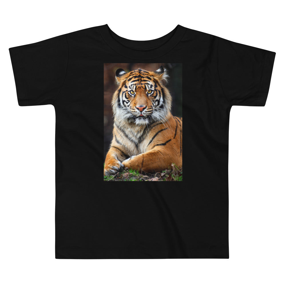 Premium Soft Toddler Tee - Big Tiger