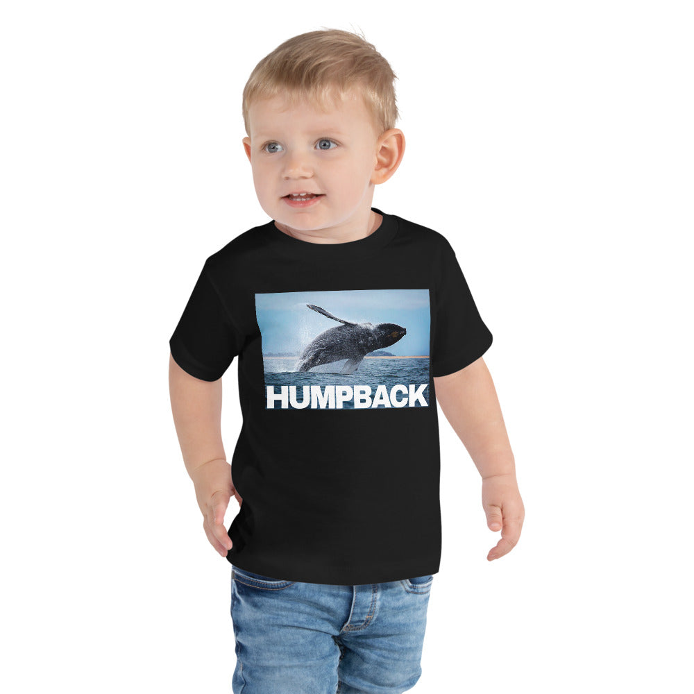 Premium Soft Toddler Tee - Humpback Having Fun