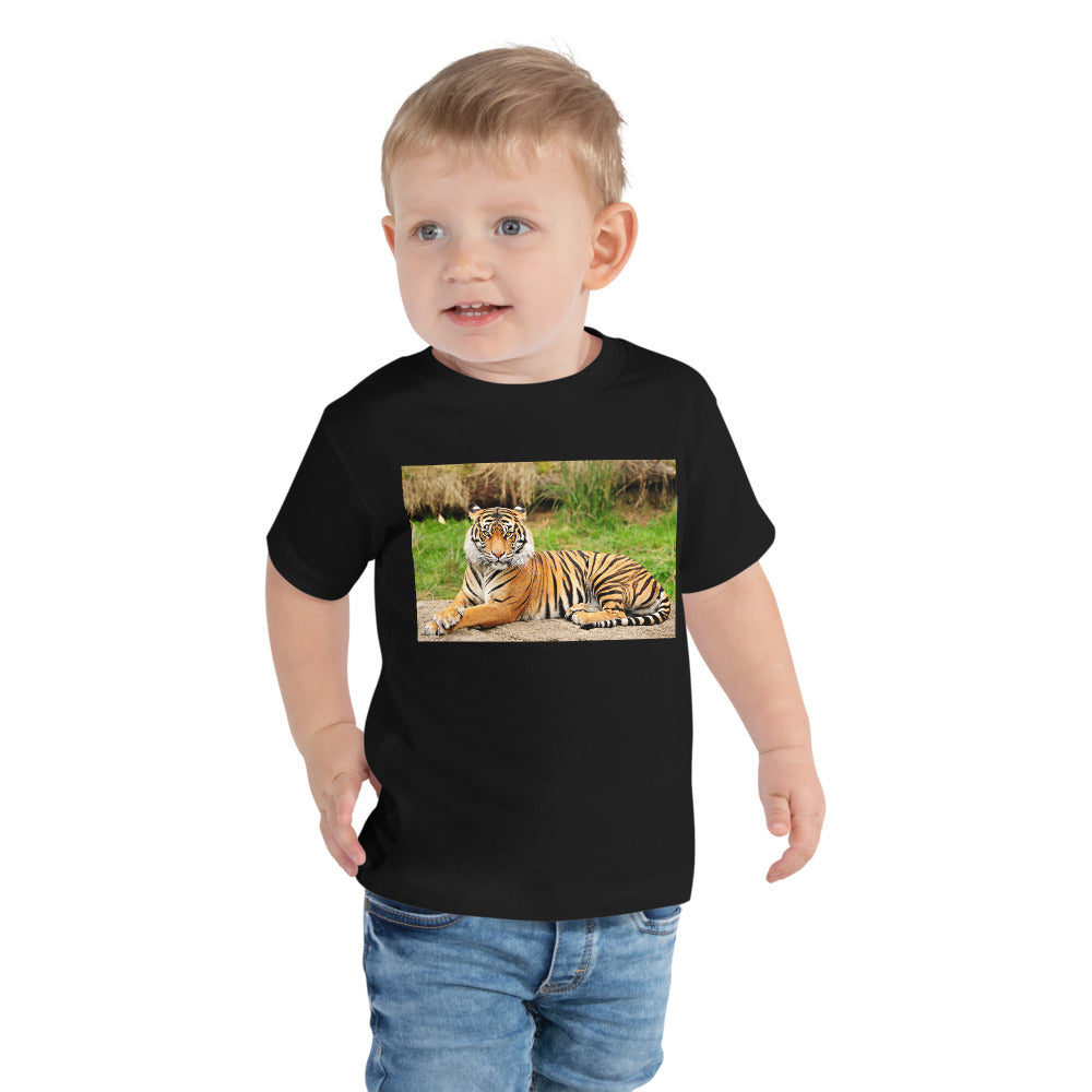 Premium Soft Toddler Tee - Nice Tiger!