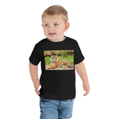 Premium Soft Toddler Tee - Nice Tiger!