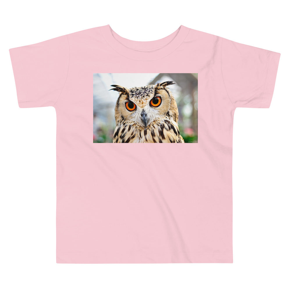 Premium Soft Toddler Tee - Orange Eyed Owl