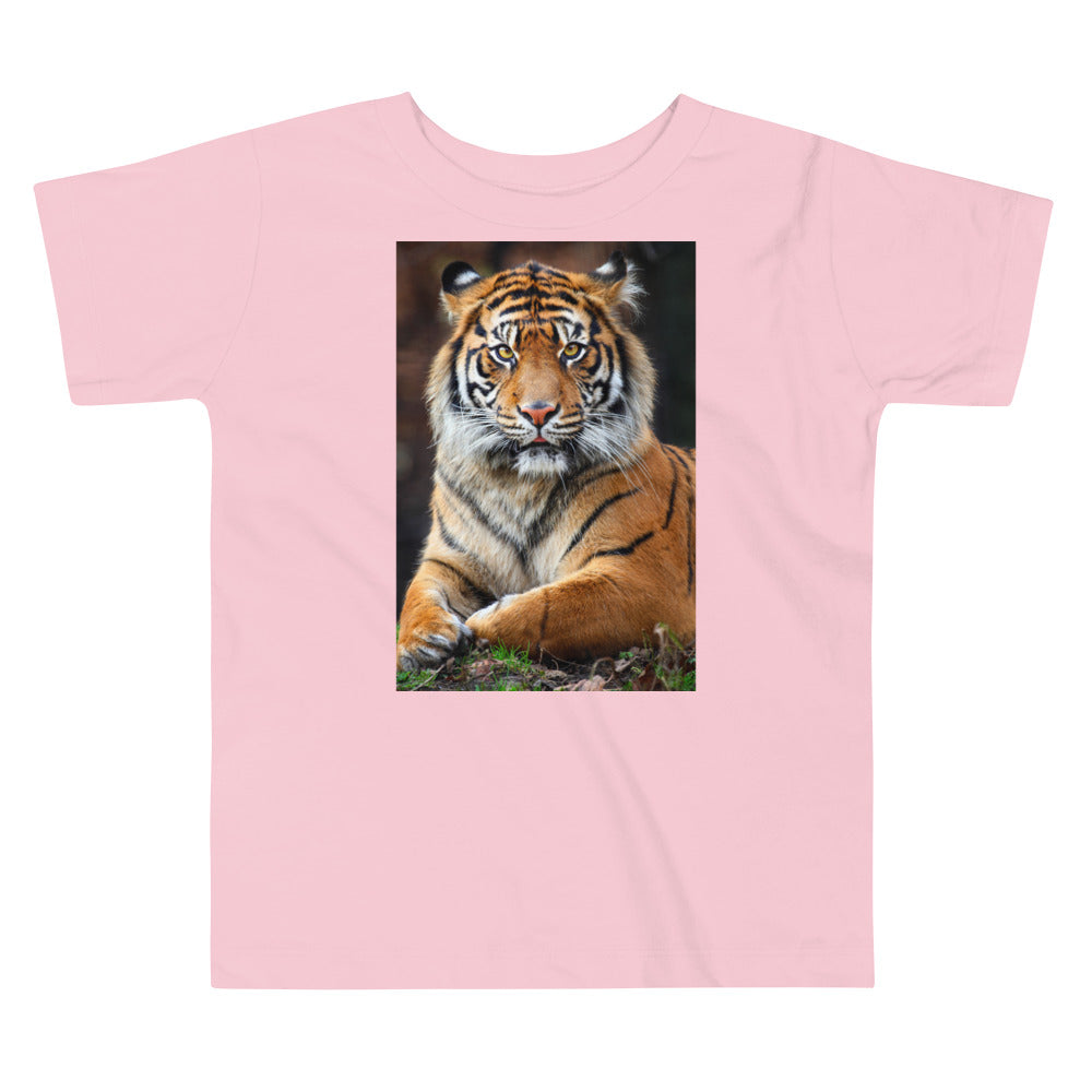 Premium Soft Toddler Tee - Big Tiger