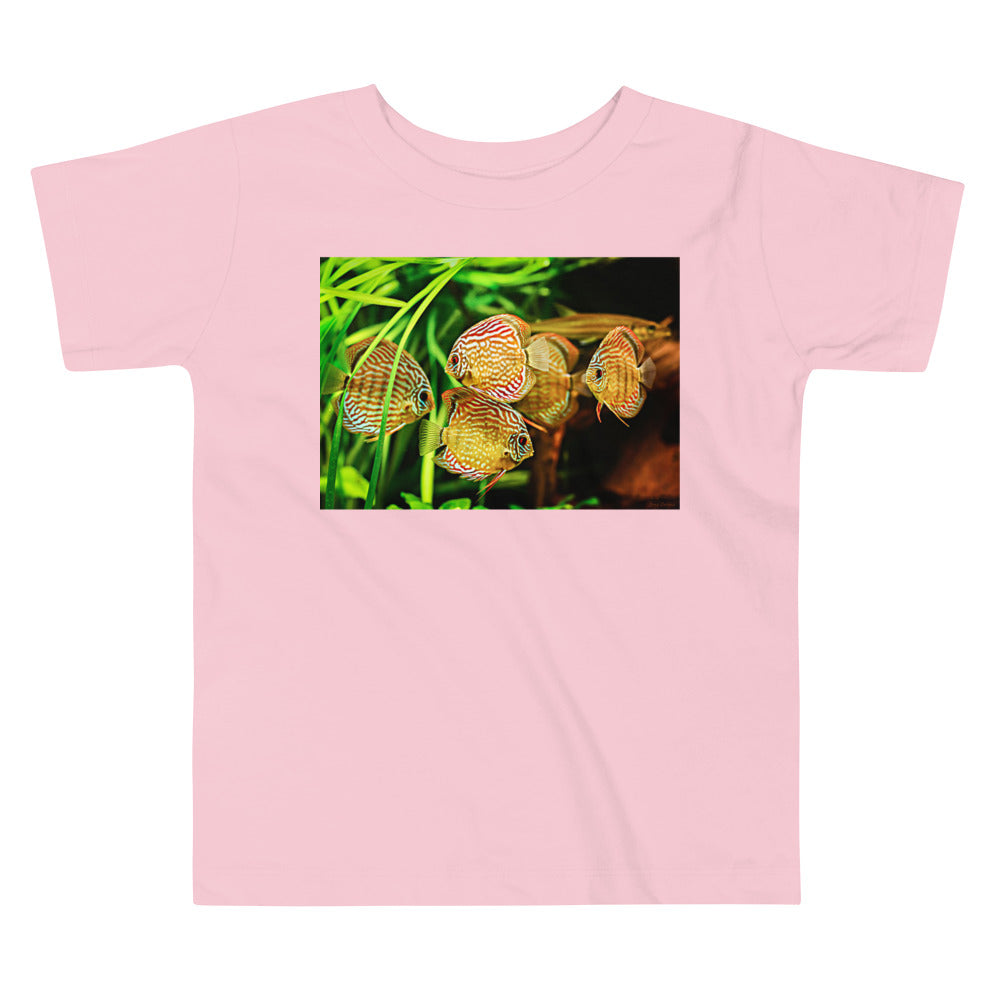 Premium Soft Toddler Tee - Amazon Discus