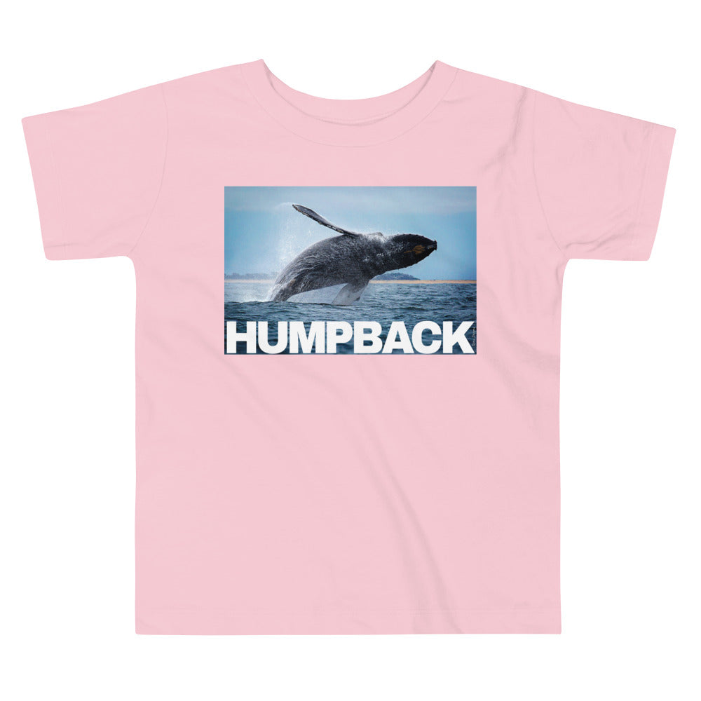Premium Soft Toddler Tee - Humpback Having Fun