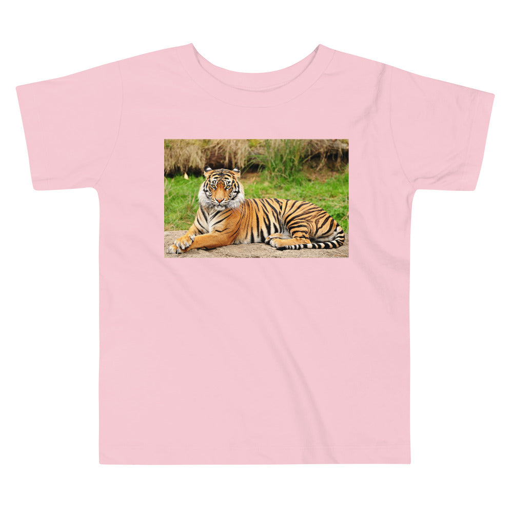 Premium Soft Toddler Tee - Nice Tiger!