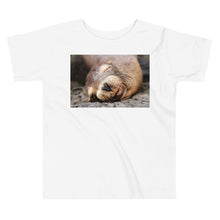 Load image into Gallery viewer, Premium Soft Toddler Tee - Snoring Sound
