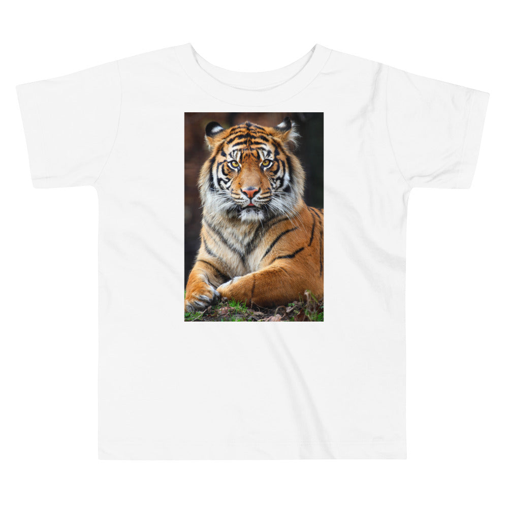 Premium Soft Toddler Tee - Big Tiger
