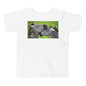 Premium Soft Toddler Tee - Zebra FRiends