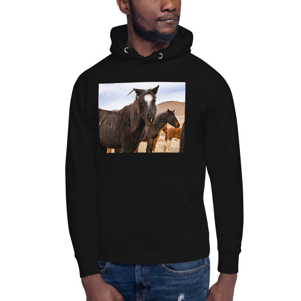 Premium Pullover Hoodie - Wild Mustangs - Ronz-Design-Unique-Apparel