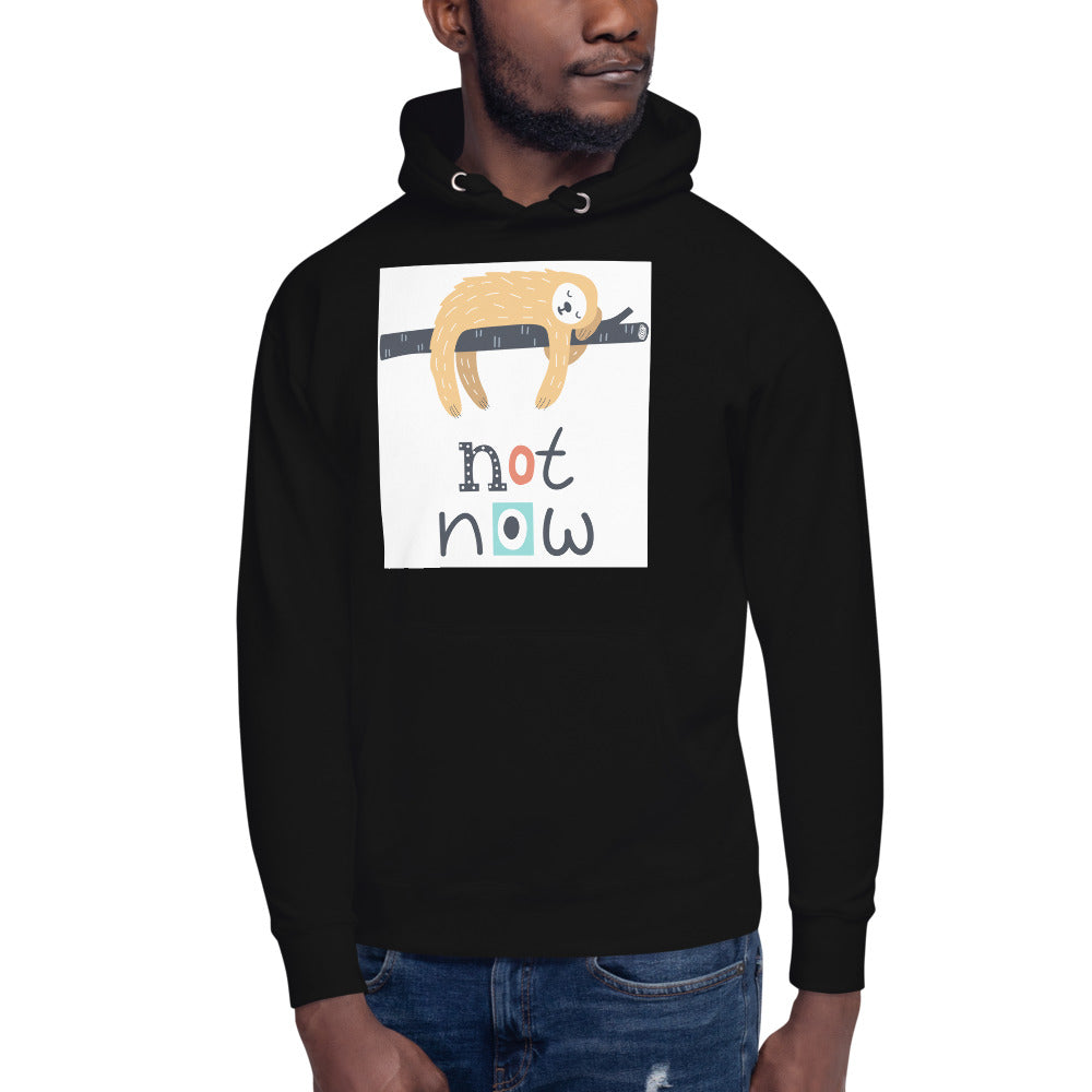Premium Pullover Hoodie - Not Now!
