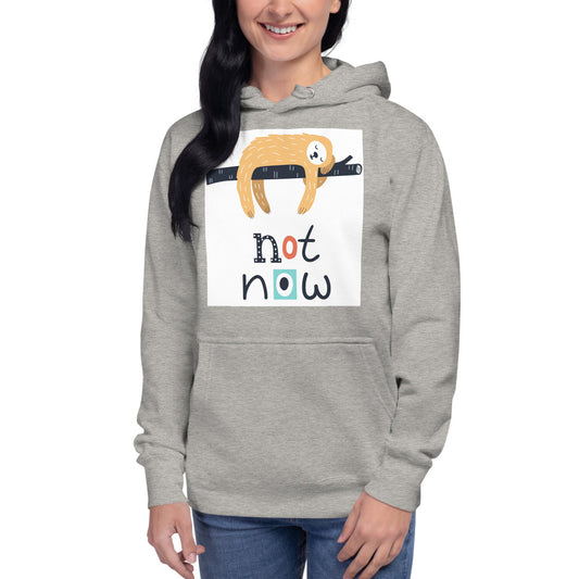 Premium Pullover Hoodie - Not Now!