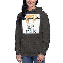Load image into Gallery viewer, Premium Pullover Hoodie - Not Now!
