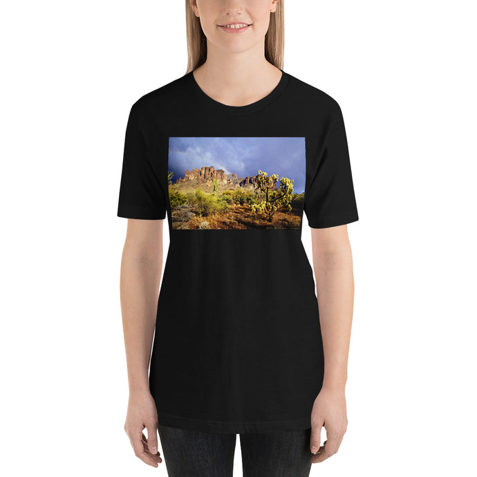 Classic Crew Neck Tee - Rainbow In The Desert - Ronz-Design-Unique-Apparel