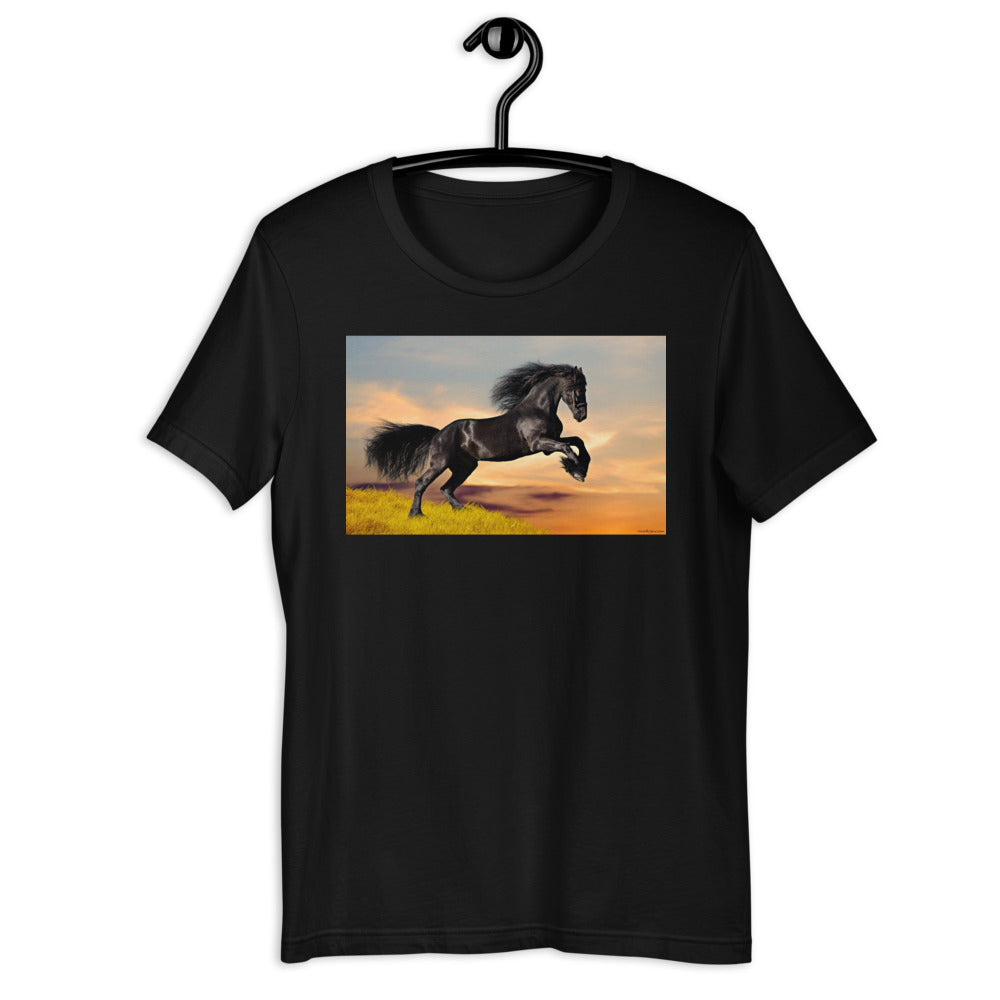Everyday Elegant Tee - Black Friesian Launching