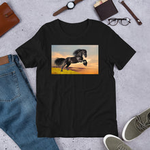 Load image into Gallery viewer, Everyday Elegant Tee - Black Friesian Launching
