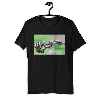 Everyday Elegant Tee - Boa Hanging Out