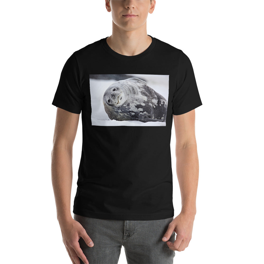Premium Soft Crew Neck - Lying Sea Lion