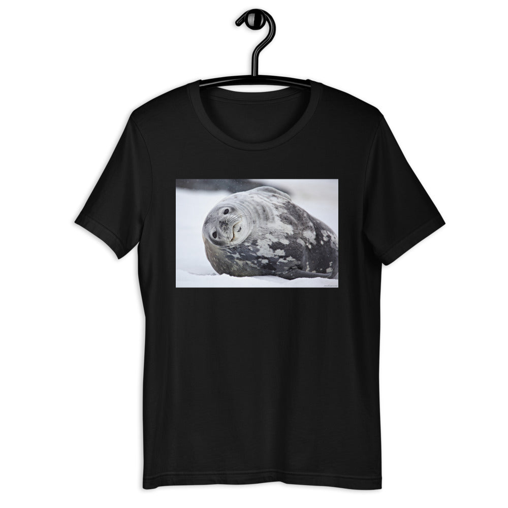 Premium Soft Crew Neck - Lying Sea Lion
