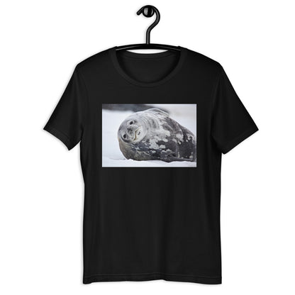 Premium Soft Crew Neck - Lying Sea Lion