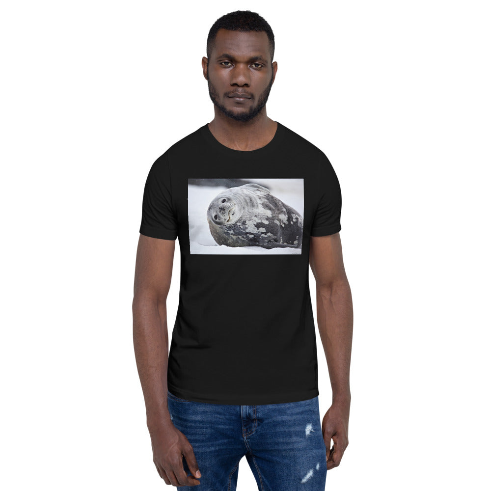 Premium Soft Crew Neck - Lying Sea Lion
