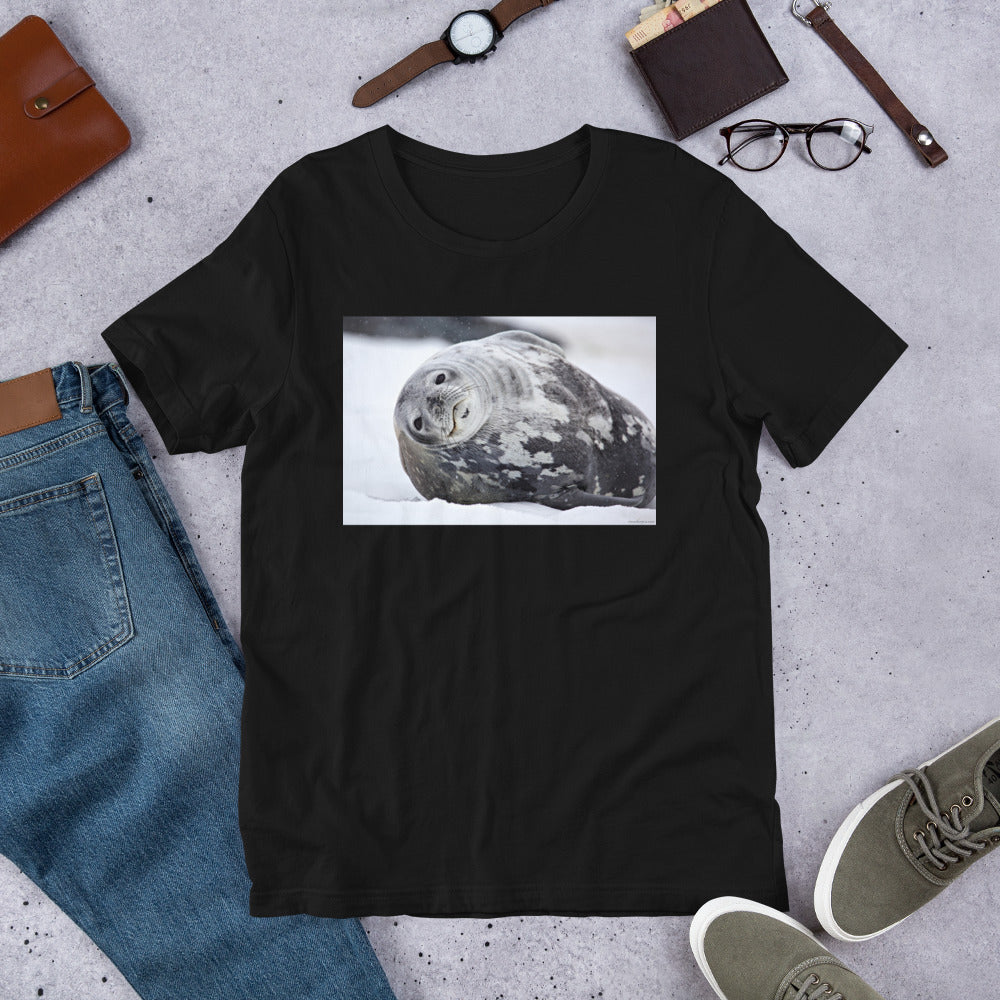 Premium Soft Crew Neck - Lying Sea Lion