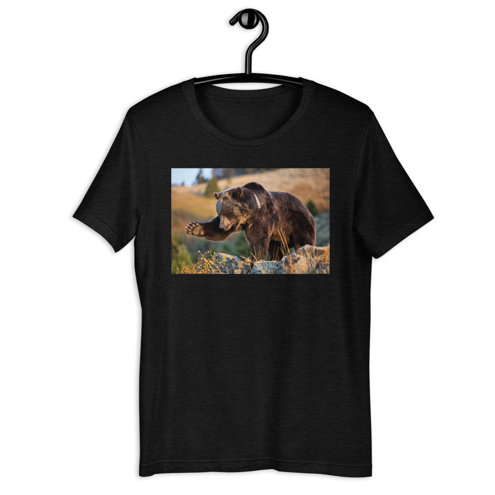 Everyday Elegant Tee - Grizzly Fly Swatting