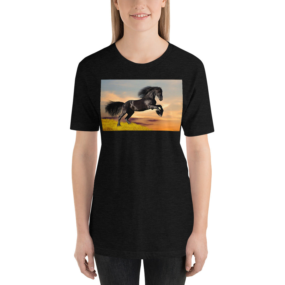 Everyday Elegant Tee - Black Friesian Launching