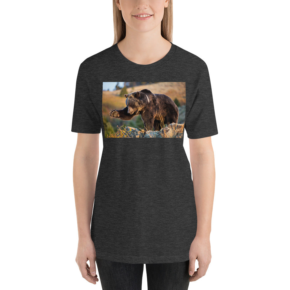 Everyday Elegant Tee - Grizzly Fly Swatting