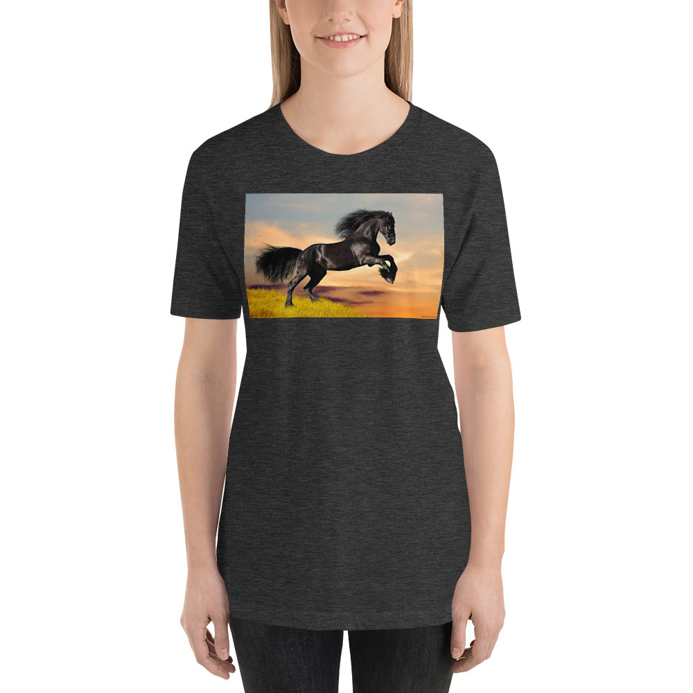Everyday Elegant Tee - Black Friesian Launching