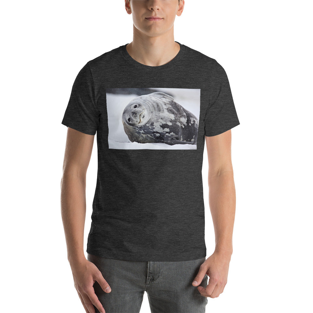 Premium Soft Crew Neck - Lying Sea Lion