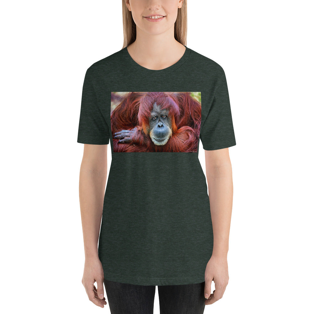 Classic Crew Neck Tee - Orangutan Hello - Ronz-Design-Unique-Apparel