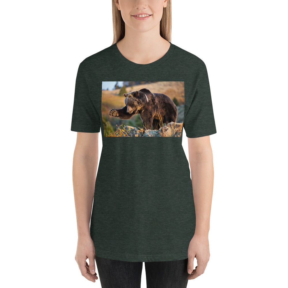 Everyday Elegant Tee - Grizzly Fly Swatting