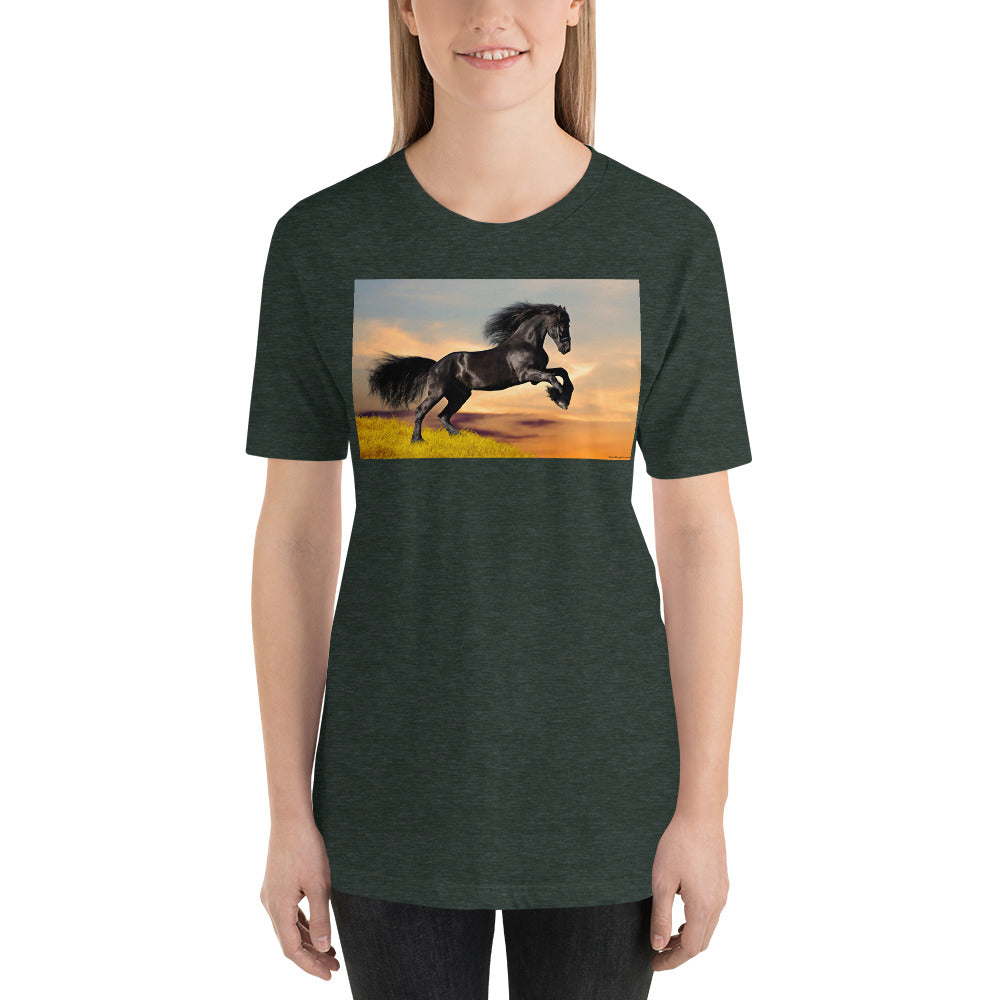 Everyday Elegant Tee - Black Friesian Launching