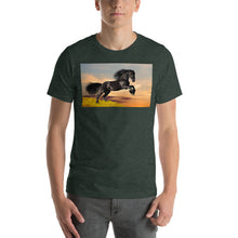 Load image into Gallery viewer, Premium Soft Crew Neck - Black Friesian Launching

