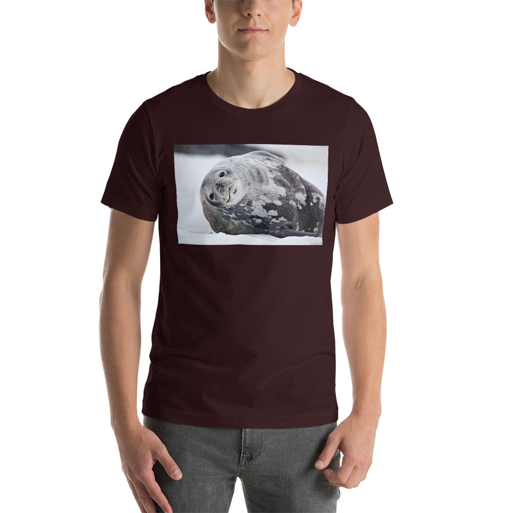Premium Soft Crew Neck - Lying Sea Lion